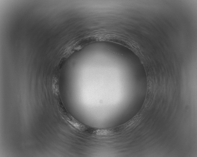 X0000059080766200510070930