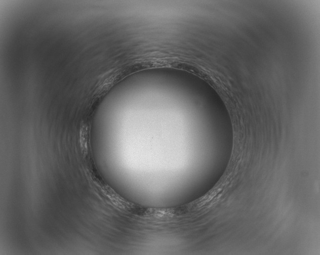 X0000059080768200510070930