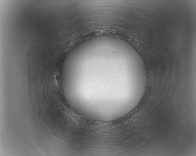 X0000059080770200510070929