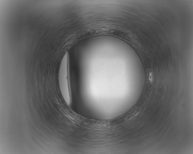 X0000059080771200510070929