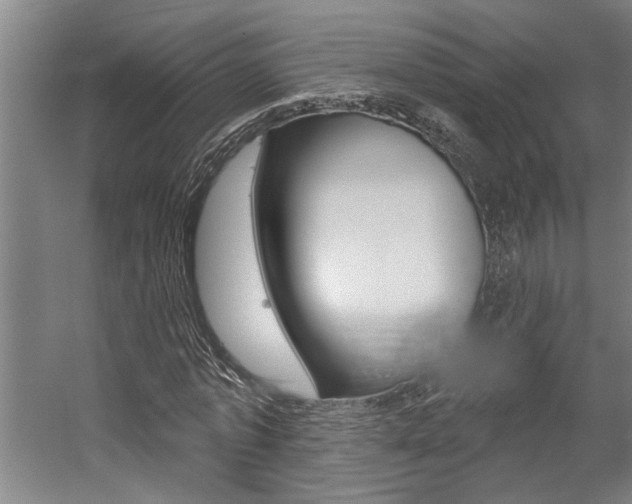 X0000059080773200510070929