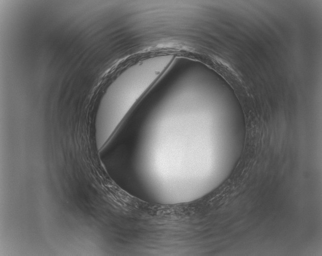 X0000059080776200510070929