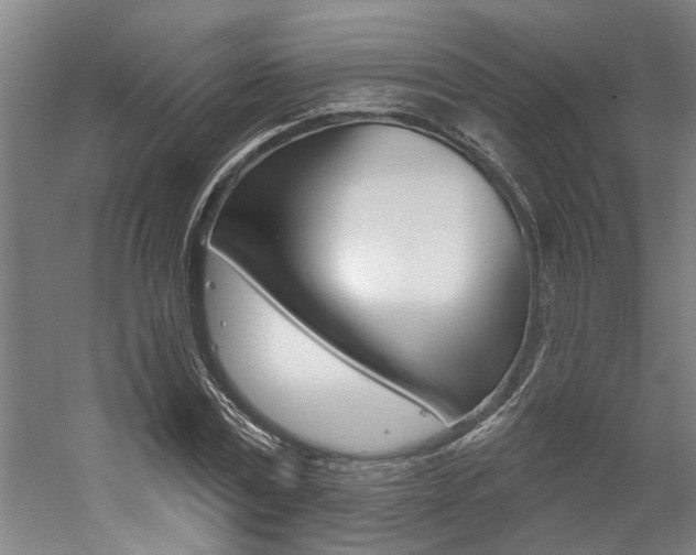 X0000059080779200510070929