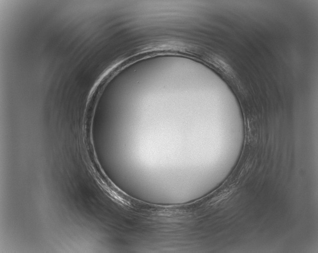 X0000059080780200510070929