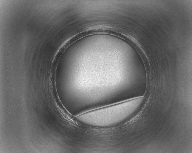 X0000059080783200510070929
