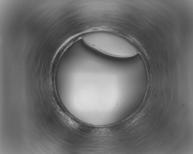 X0000059080784200510070929