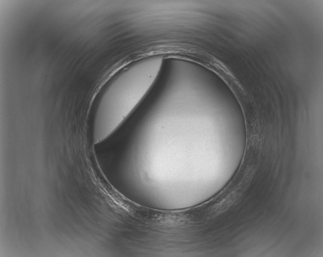X0000059080786200510070929