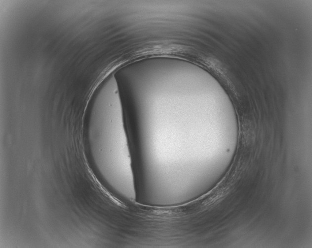 X0000059080794200510070928