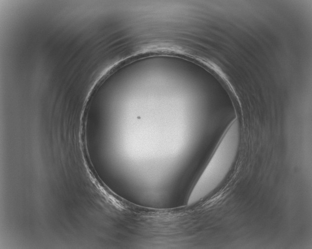 X0000059080799200510070928