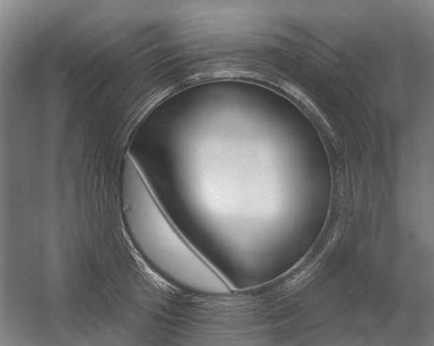 X0000059080801200510070928