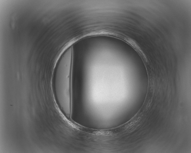 X0000059080805200510070928