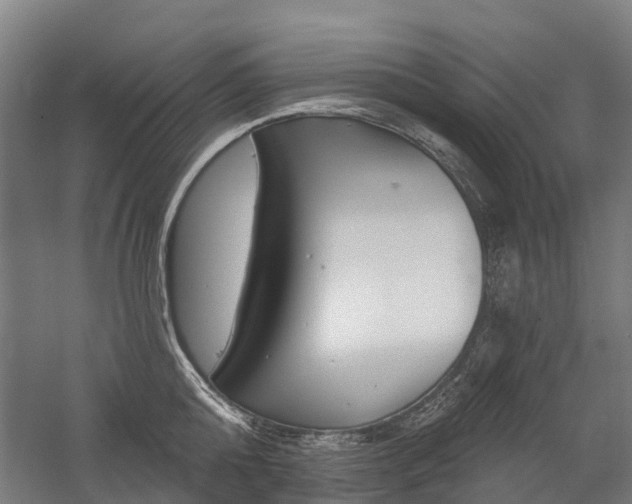 X0000059080808200510070928