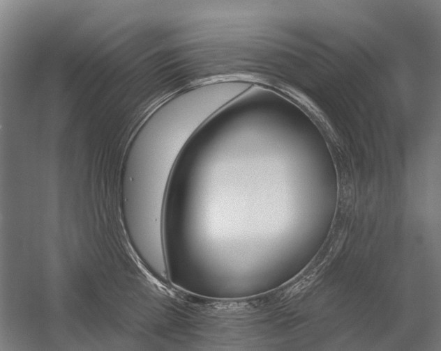 X0000059080809200510070928
