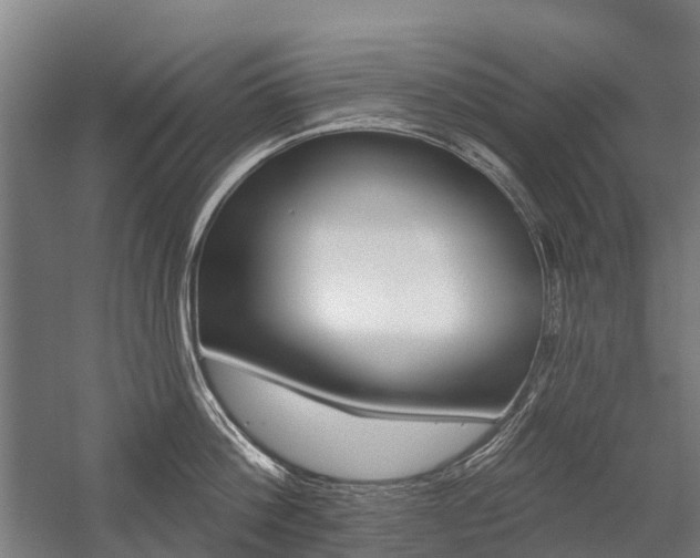 X0000059080812200510070928