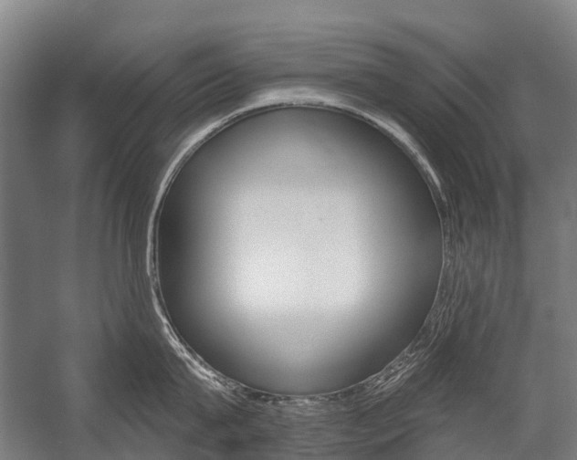 X0000059080815200510070928