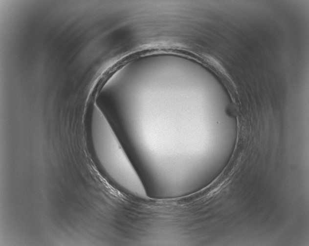 X0000059080831200510070927