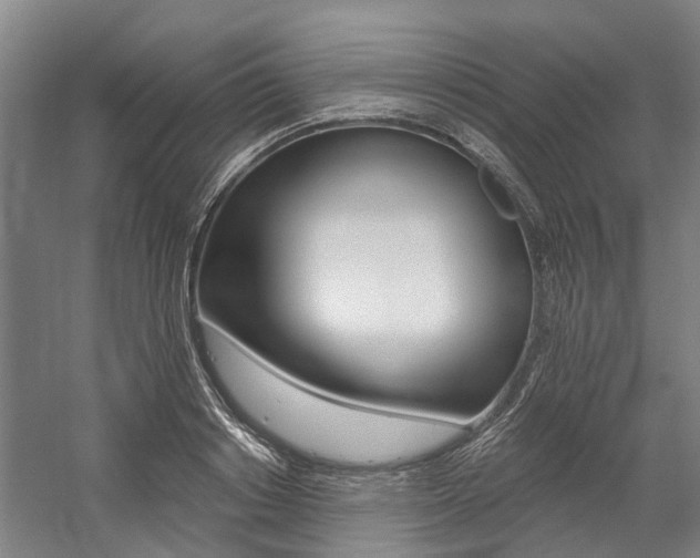 X0000059080842200510070928