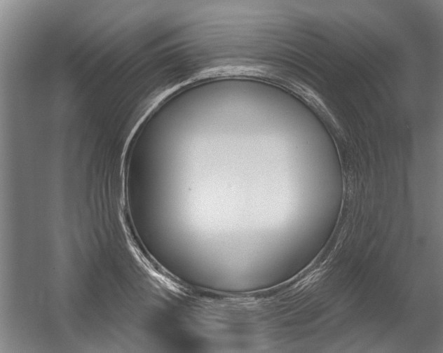 X0000059080844200510070928