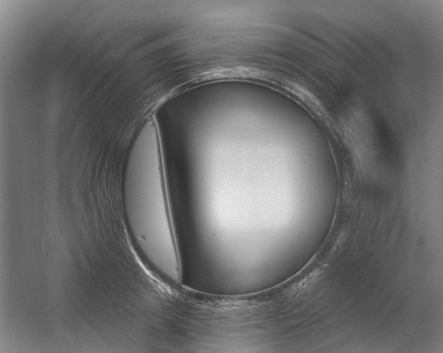 X0000059080849200510070928