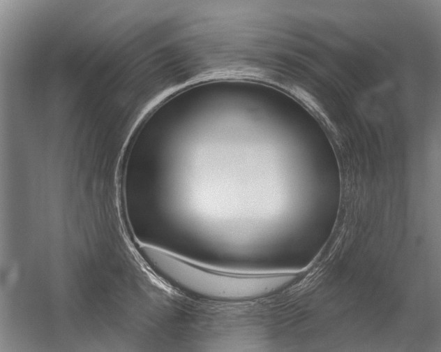 X0000059080854200510070928