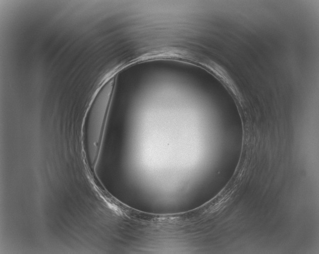 X0000059080858200510070928