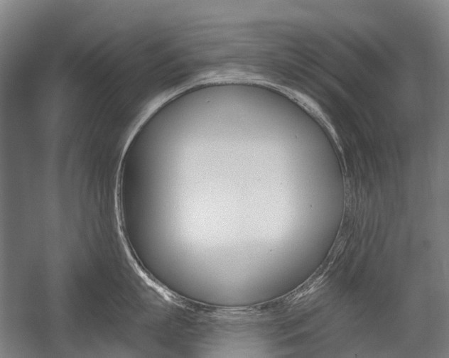 X0000059080863200510070928