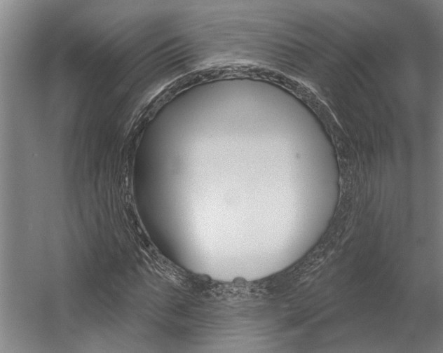X0000059080871200510070927