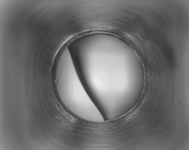 X0000059080875200510070927