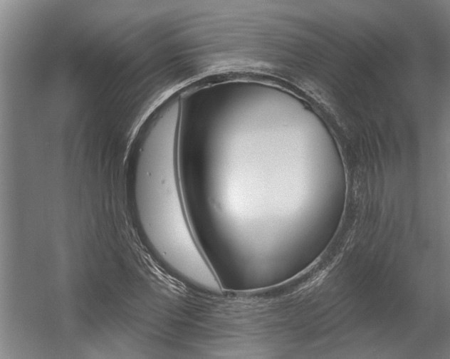X0000059080877200510070927
