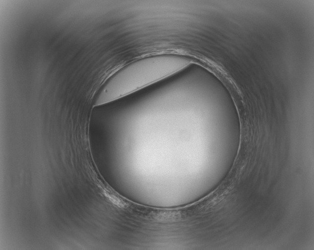 X0000059080889200510070927