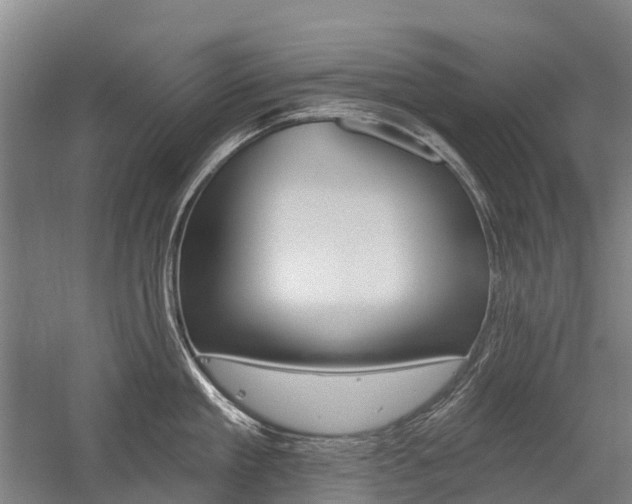 X0000059080909200510070926