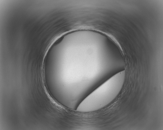 X0000059080911200510070926