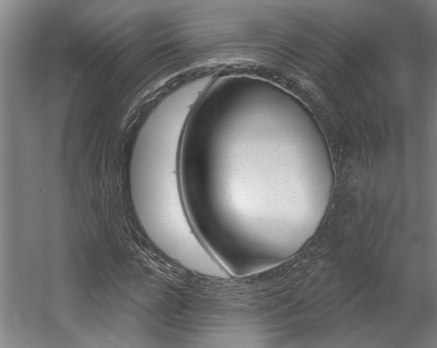 X0000059080920200510070926