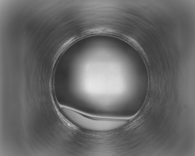 X0000059080946200510070926
