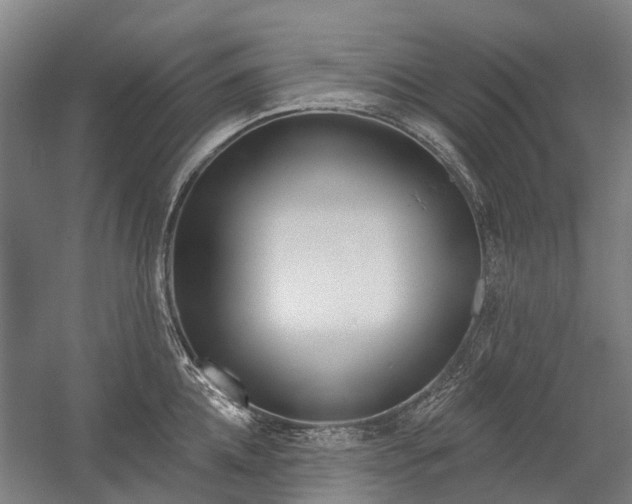 X0000059080952200510070926