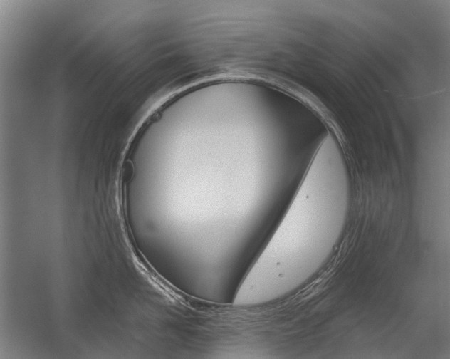 X0000059080958200510070926