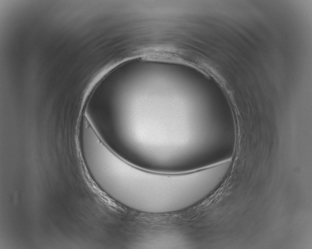 X0000059080960200510070926