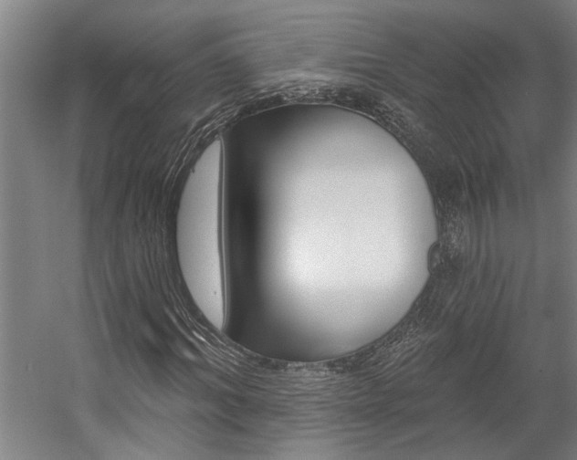 X0000059080964200510070926