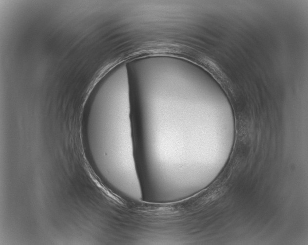 X0000059080986200510070925