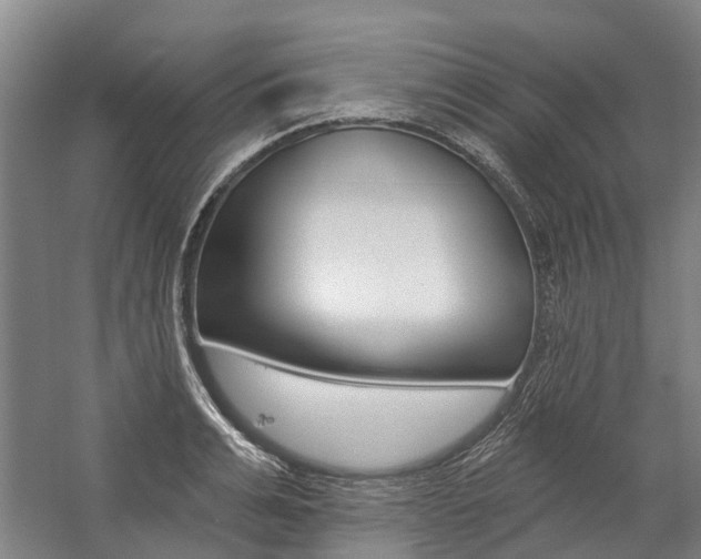 X0000059080991200510070925