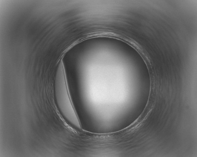 X0000059081001200510070925