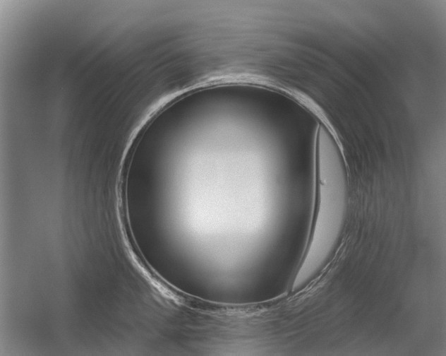 X0000059081005200510070925