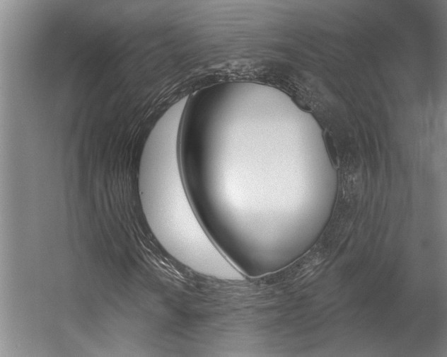 X0000059081010200510070924