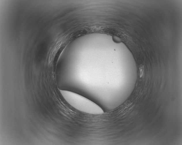 X0000059081011200510070924