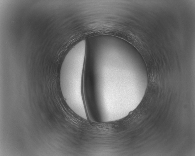 X0000059081012200510070924
