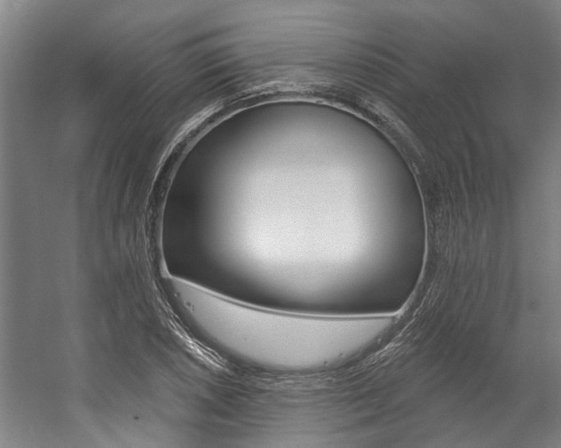 X0000059081026200510070924