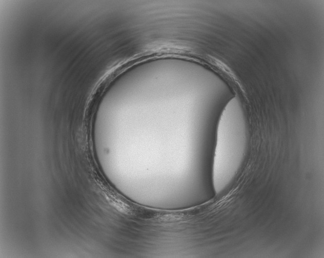 X0000059081027200510070924