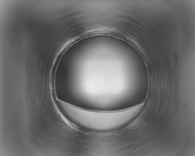 X0000059081034200510070924