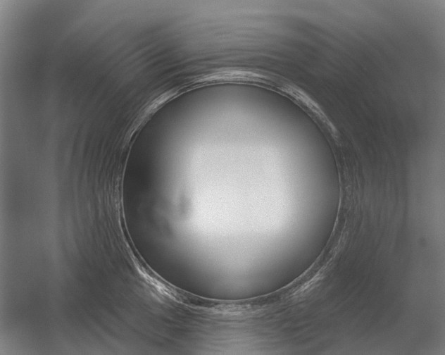 X0000059081049200510070925