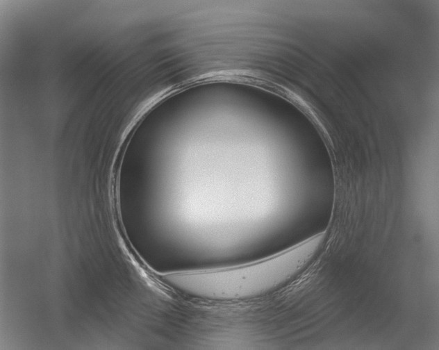 X0000059081050200510070925